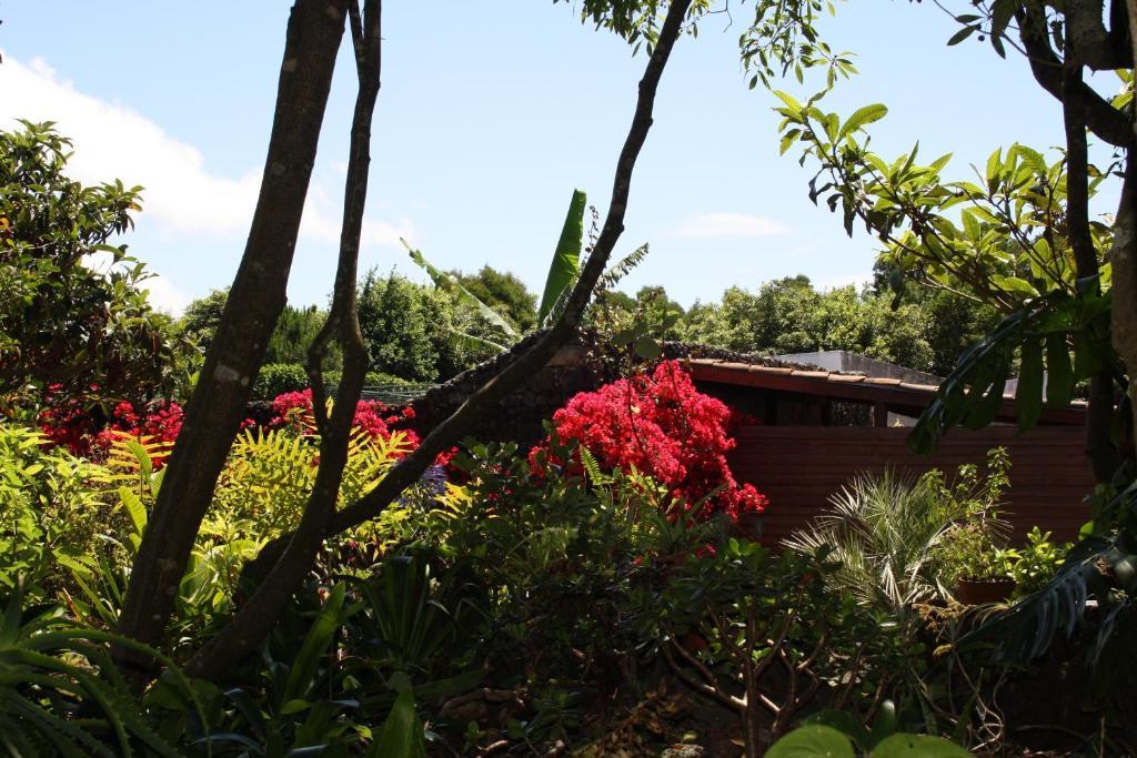 Quinta De Sao Caetano - Sao Miguel Acores Populo  Екстер'єр фото